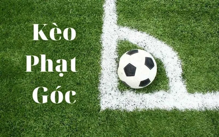 Kinh Nghiệm Cách Chơi Kèo Phạt Góc Bóng Đá Chính Xác
