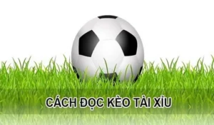 Cách Chơi Kèo Tài Xỉu Hiệp 1 Hiệu Quả Nhất