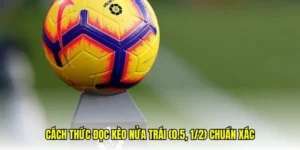 Cách Chơi Kèo Chấp 0.5 Đơn Giản Dễ Hiểu Dễ Thắng
