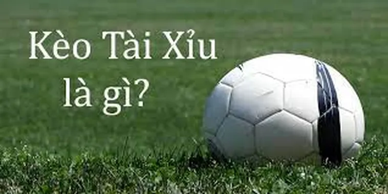 Hướng Dẫn Cách Chơi Kèo Tài Xỉu Đỉnh Cao Cho Người Mới