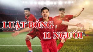 Tiêu Chuẩn Kỹ Thuật Của Luật Sân Bóng Đá Thi Đấu Chuyên Nghiệp