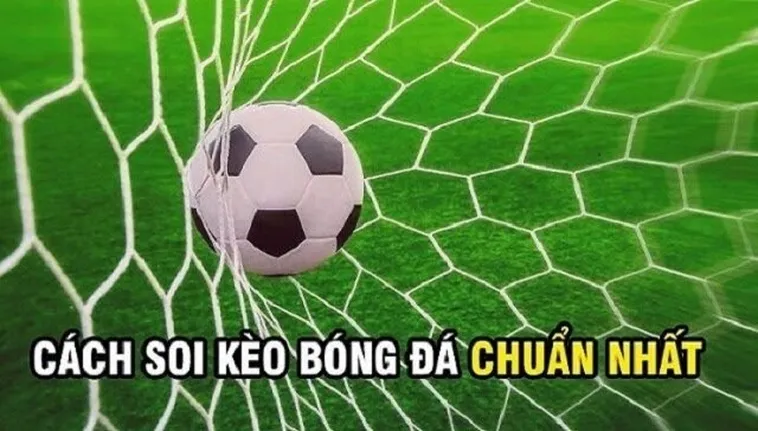 Cách Chơi Kèo Rung Trong Bóng Đá Hiệu Quả Nhất