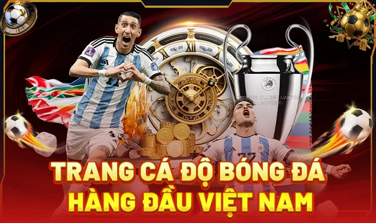 Top Trang Cá Độ Bóng Đá Uy Tín Hàng Đầu VN Dành Cho Dân Chơi