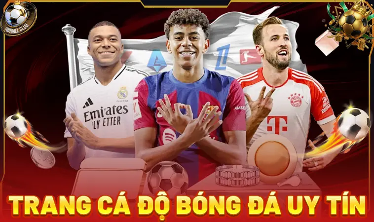 Top Trang Cá Độ Bóng Đá Uy Tín Hàng Đầu VN Dành Cho Dân Chơi