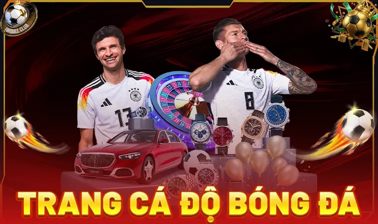 Top Trang Cá Độ Bóng Đá Uy Tín Hàng Đầu VN Dành Cho Dân Chơi